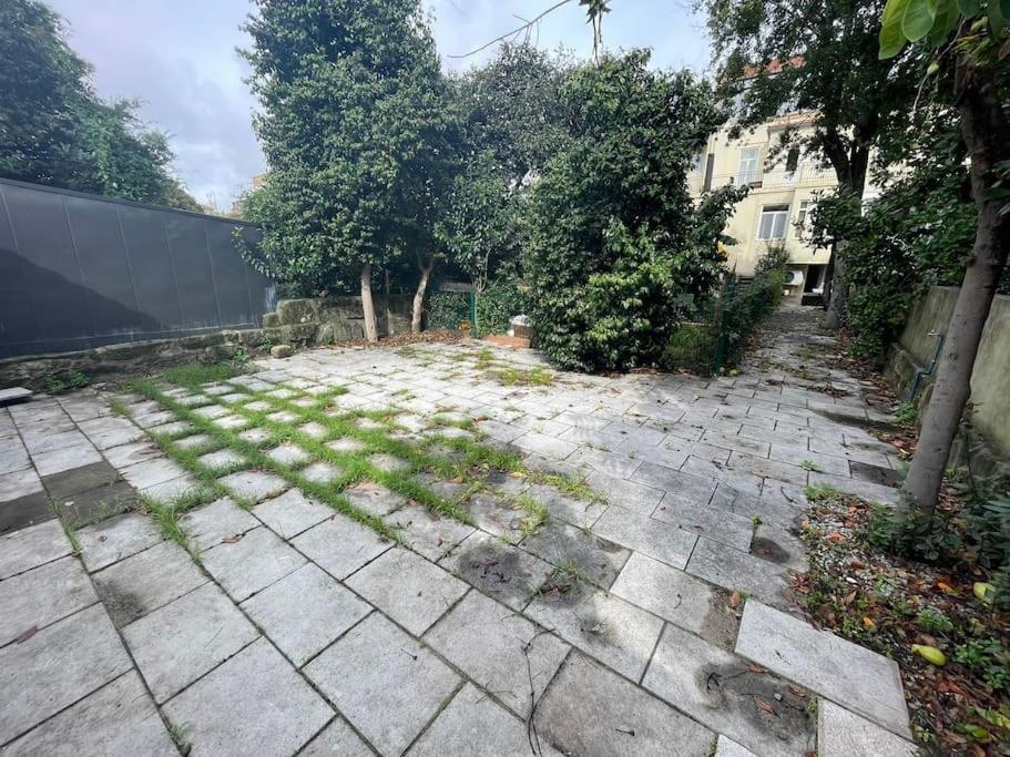 Torrinha'S Backyard Lejlighed Porto Eksteriør billede